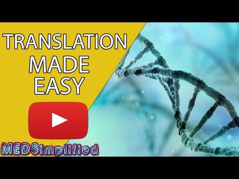 DNA Translation Made Easy