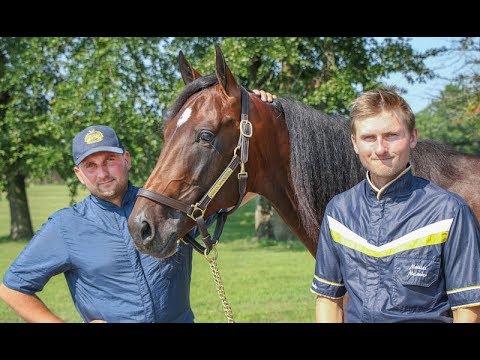2019 Hambletonian Contenders --  Green Manalishi S