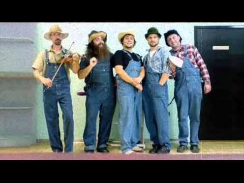 Picksiebner - Cotton Fields