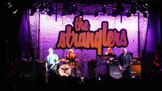 The Stranglers Nice in Nice Aberdeen 2015