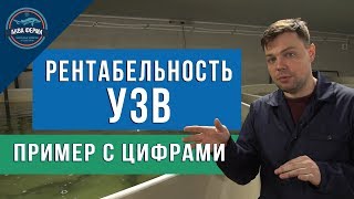 Рыбоводно биологическое обоснование выращивания осетровых рыб