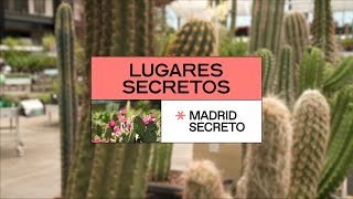 Lugares secretos de Madrid: Desert City | Madrid Secreto