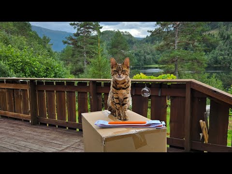 Db Ramverk Pro Check-in Luggage – The Best Travel Suitcase 