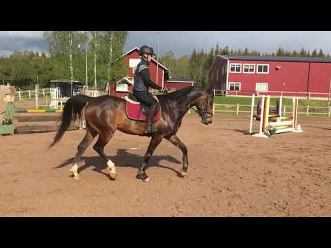 Kitsch Couture HPK 4 år