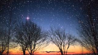 Every Night A Holy Night (2013)