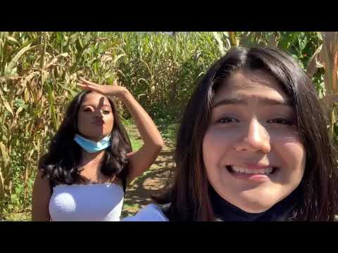 my first video 😀/apple picking 🍏