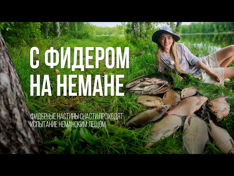 ЛЕЩ клюет! Фидерная РЫБАЛКА на реке НЕМАН в Беларуси. Настины Снасти #2