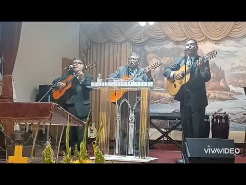 yo no, camino solo~ trio alfa y omega