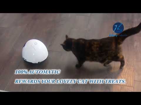 MIA the robot - Plays with cats to prevent obesity and reduce anxiety