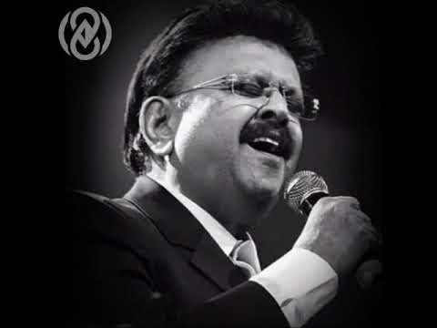 Maate Mantramu 8D Song - | Bala Subramanyam garu, SP Shailaja garu || 8D TUNES - Telugu