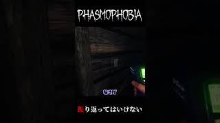 【Phasmophobia】絶対に振り返ってはいけない。