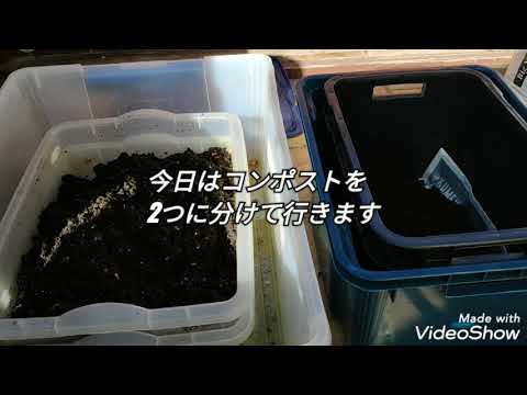 庭にミミズを引き寄せる方法は？家庭菜園の大切な友人への間違いのないアドバイス  庭園