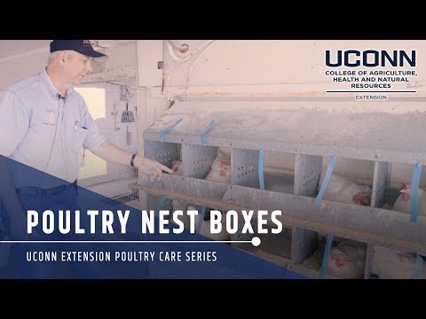 Poultry Nest Boxes
