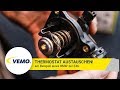 Wie Thermostat Austauschen Beim 3er BMW E46 V20 99 0162
