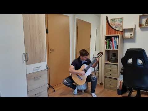 Musikstück |Kevin Schulz|