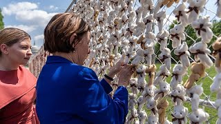 20.000 Teddybären in Washington erinnern an entführte ukrainische Kinder