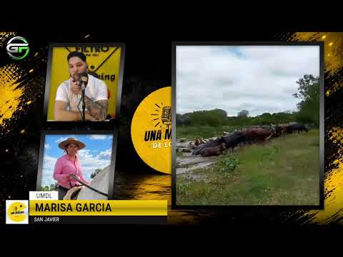 MARISA  GARCIA/ SAN JAVIER- SANTA FE