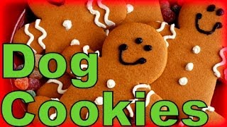 How to Make Gingerbread Dog Cookies Christmas Treats |  Snacks with the Snow Dogs 6