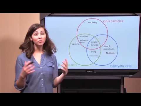 Biology: Comparing Cells and Viruses Video 3
