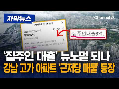&#39;집주인 대출&#39; 뉴노멀 되나… 강남 고가 아파트 …