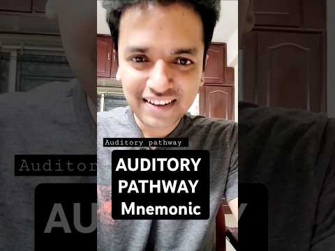 Mnemonic for auditory pathway. #anatomy #physiology #hearing #mnemonics #mbbs