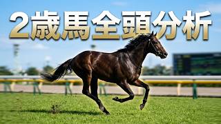 【2歳馬ライブ】トークライブ 2026/09/05【全頭分析ライブ】