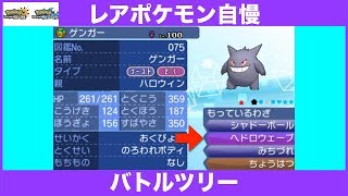 【ポケモンUSUM】レアポケモン自慢バトルツリー