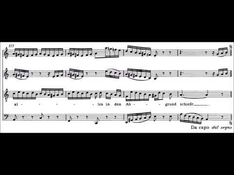 Bach - So schnell ein rauschend Wasser schießt, BWV 26