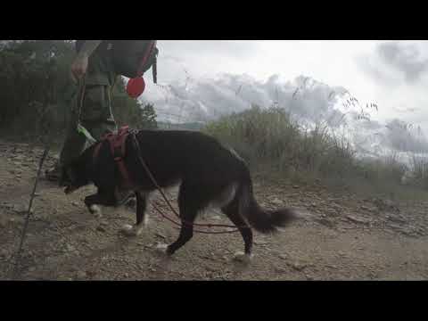 Alla volta del tempio etrusco di Talamonaccio con Gaia e Snatch