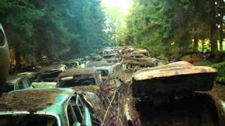 An&#39;s Meer zurück 2010