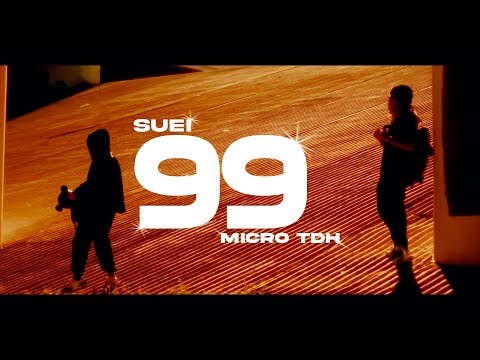 suei, micro tdh - 99 (slowed + reverb)