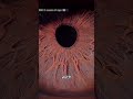 You have fingers INSIDE YOUR EYES 😱