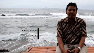 Universitas Nasional – Fatwa MUI Tentang Pelestarian Satwa Langka Untuk Keseimbangan Ekosistem