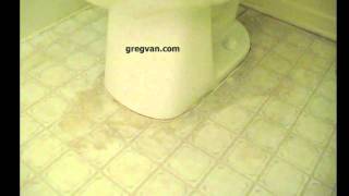 Linoleum Flooring Damage Around Toilet - Bathroom Floor Problems