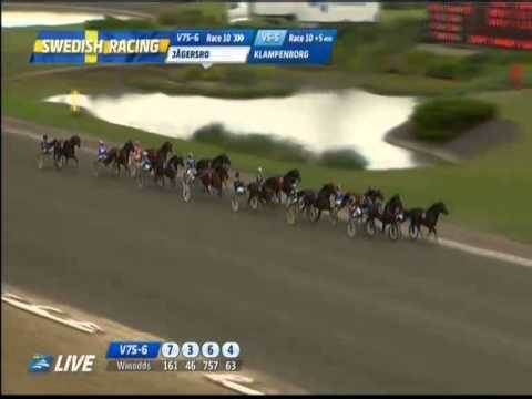 Mosaique Face KRAFFT Svenskt Travderby 2013