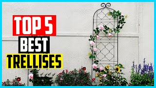 ▶️Best Trellises in 2026