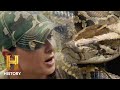 SUPER SNAKES Destroying Everglades Ecosystem Swamp People Serpent Invasion Season 3