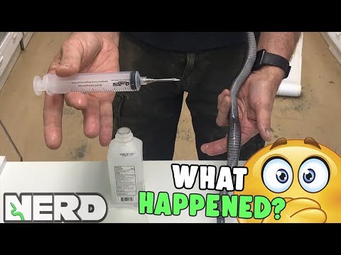 EGG BOUND SNAKE RECAP - EMERGENCY VET VISIT??