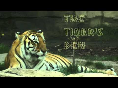 May 4th Power Trading Hour with David White on TFNN - 2016