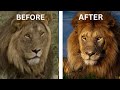 How To Take Great This Photo Epic Tanzania Safari