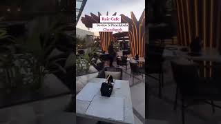 Download lagu Top 5 Cafes for a Date in Chandigarh 🌸☕️ #cafe #chandigarh #punjab #instagram #mustvisit #travel mp3