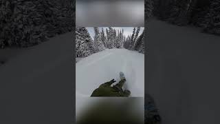 Torstein Horgmo | Floreana | Baauer