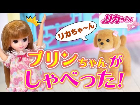 プリンちゃんの不満が…ばくはつ！？🐶犬がおはなしできるようになったら…