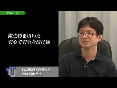 「応用生物学部食品・化粧品専攻食品コース」研究室紹介ダイジェスト