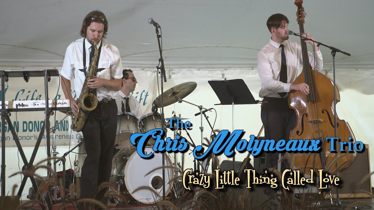 Promotional video thumbnail 1 for Chris Molyneaux Jazz Trio
