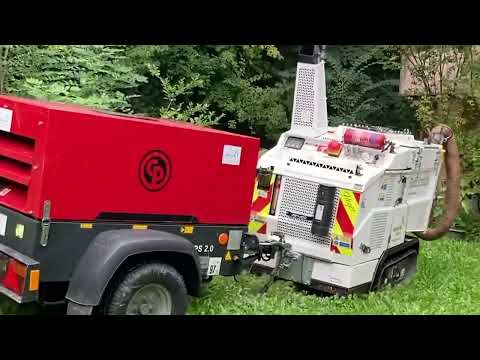 Baumschutz auf Baustellen - So geht's!