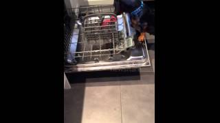 preview picture of video 'Adorable dachshund places toy in dishwasher'