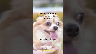 Amor é Ato Infinito