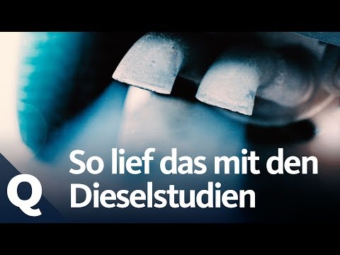 Emissions scandal: What's behind the "human experiments" | Quarks