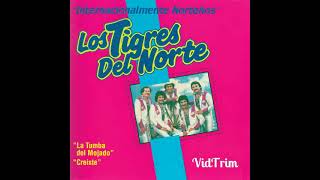 Creiste los tigres del norte
